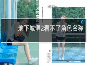 地下城堡2看不了角色名称