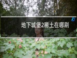地下城堡2稀土在哪刷