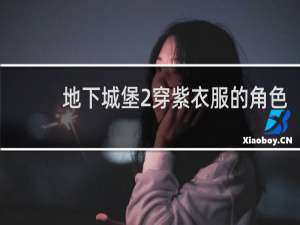 地下城堡2穿紫衣服的角色