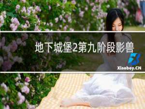 地下城堡2第九阶段影兽