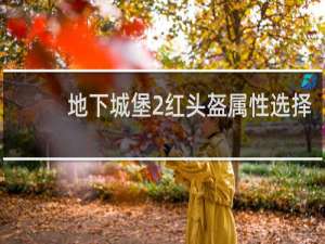地下城堡2红头盔属性选择