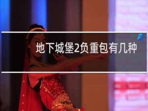 地下城堡2负重包有几种