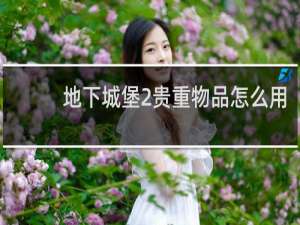 地下城堡2贵重物品怎么用