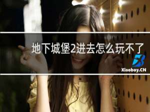 地下城堡2进去怎么玩不了
