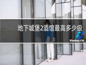 地下城堡2酒馆最高多少级
