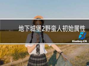 地下城堡2野蛮人初始属性