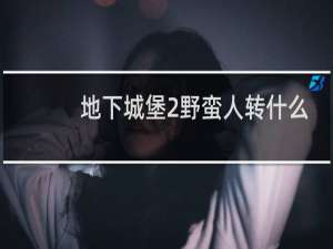 地下城堡2野蛮人转什么
