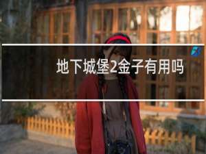 地下城堡2金子有用吗