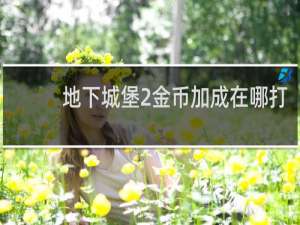 地下城堡2金币加成在哪打