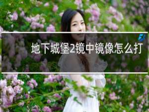 地下城堡2镜中镜像怎么打