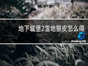 地下城堡2雪地狼皮怎么得
