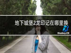 地下城堡2龙印记在哪里换