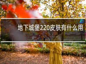 地下城堡2 皮肤有什么用