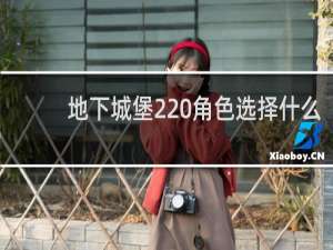 地下城堡2 角色选择什么