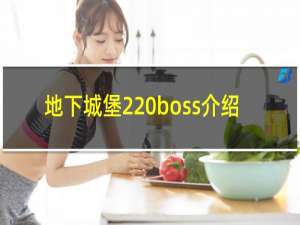 地下城堡2 boss介绍