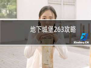 地下城堡263攻略