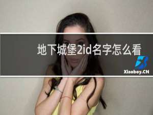 地下城堡2id名字怎么看