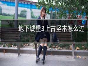 地下城堡3上古坚木怎么过