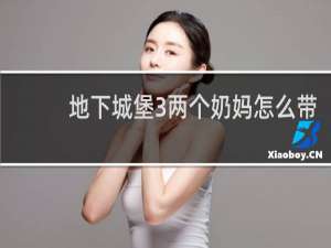 地下城堡3两个奶妈怎么带