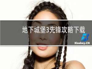 地下城堡3先锋攻略下载