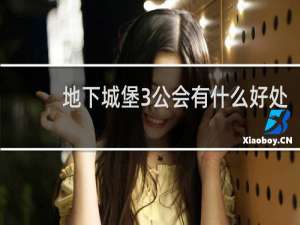 地下城堡3公会有什么好处