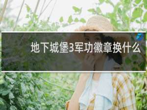 地下城堡3军功徽章换什么