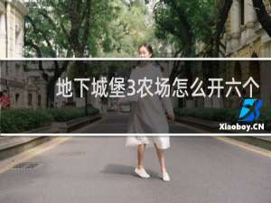 地下城堡3农场怎么开六个