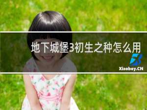 地下城堡3初生之种怎么用