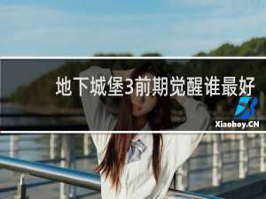 地下城堡3前期觉醒谁最好