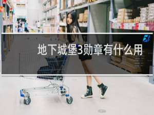 地下城堡3勋章有什么用