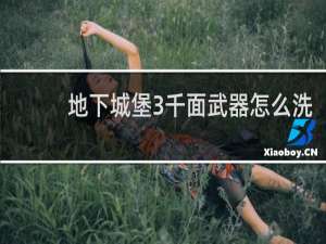 地下城堡3千面武器怎么洗