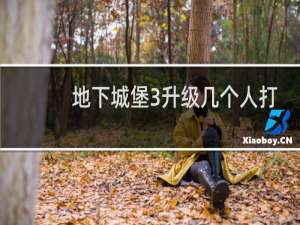 地下城堡3升级几个人打