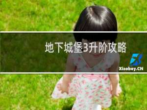 地下城堡3升阶攻略