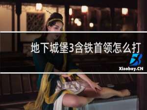 地下城堡3含铁首领怎么打
