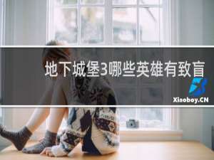 地下城堡3哪些英雄有致盲