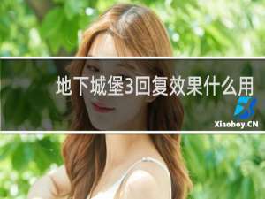 地下城堡3回复效果什么用