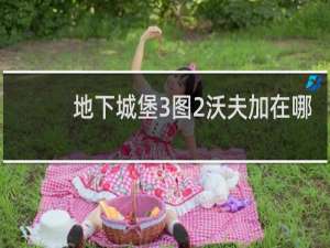 地下城堡3图2沃夫加在哪