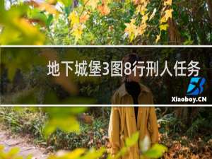 地下城堡3图8行刑人任务