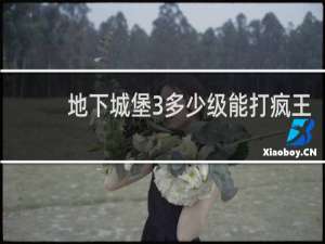 地下城堡3多少级能打疯王