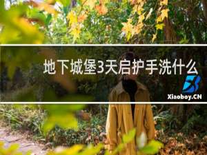 地下城堡3天启护手洗什么