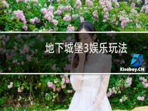 地下城堡3娱乐玩法