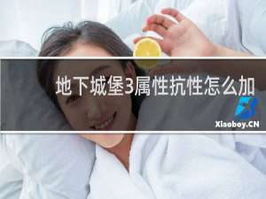 地下城堡3属性抗性怎么加