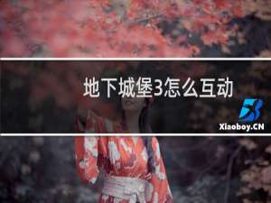 地下城堡3怎么互动