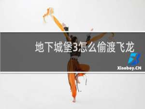 地下城堡3怎么偷渡飞龙