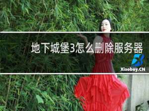 地下城堡3怎么删除服务器