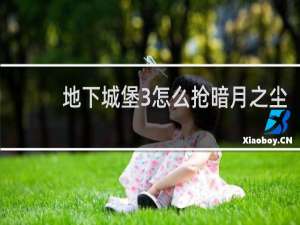 地下城堡3怎么抢暗月之尘