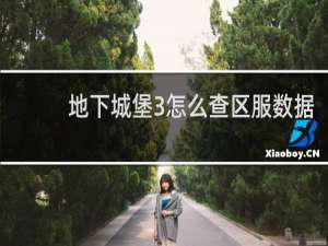 地下城堡3怎么查区服数据