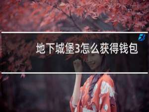地下城堡3怎么获得钱包