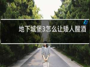 地下城堡3怎么让矮人醒酒