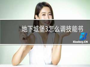 地下城堡3怎么调技能书